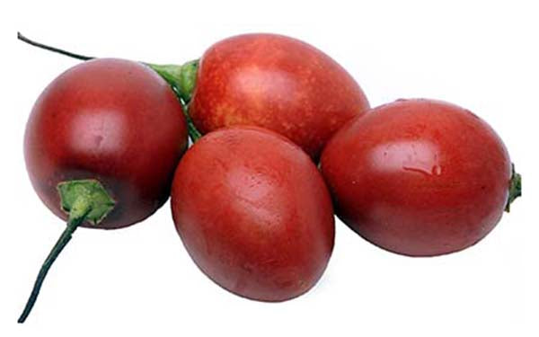 Image of Red Tamarillo