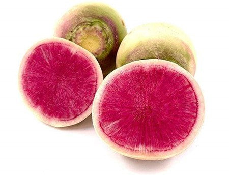 Image of Watermelon Radish