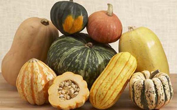 Winter Squash