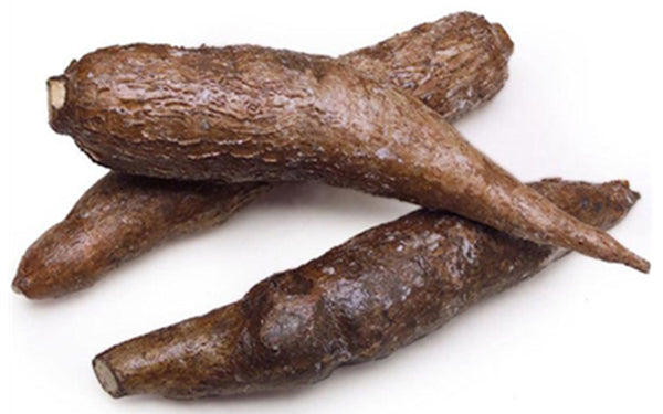 Yuca Root