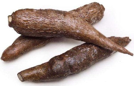 Image of Yuca Root