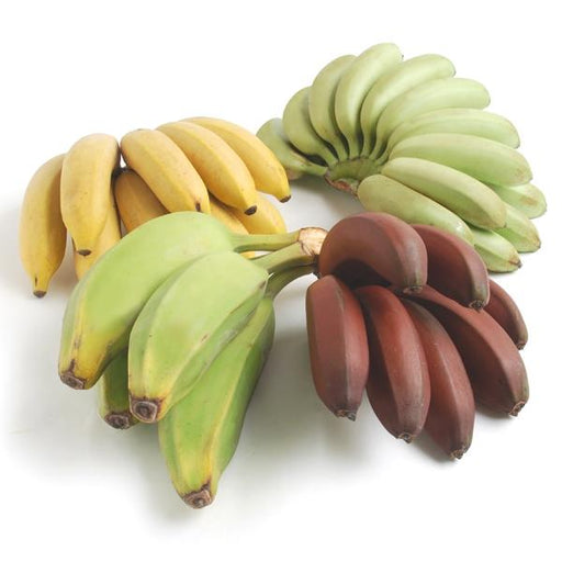 https://cdn.shopify.com/s/files/1/0336/7167/5948/products/image-of-banana-sampler-fruit-14764386811948_512x512.jpg?v=1616893029