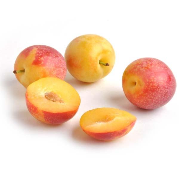 Image of  Cherry Plums Fruit
