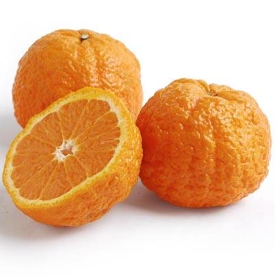 Neapolitan® Tangerines — Melissas Produce