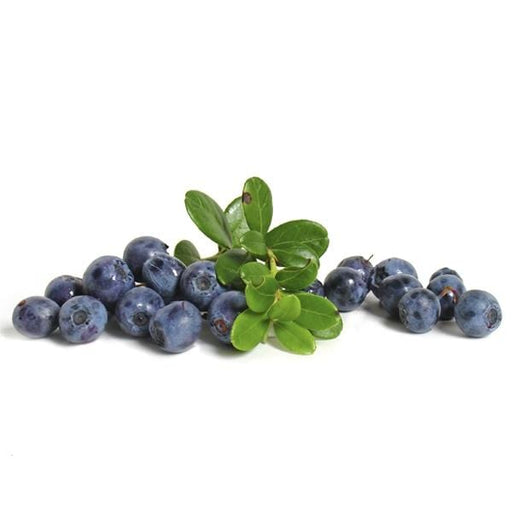 https://cdn.shopify.com/s/files/1/0336/7167/5948/products/image-of-organic-blueberries-organics-14763751440428_512x512.jpg?v=1616958510