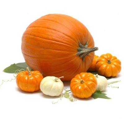 Pumpkins — Melissas Produce