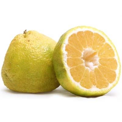 Uniq Fruit — Melissas Produce