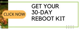 Leaky Gut Supplements Reboot Kit