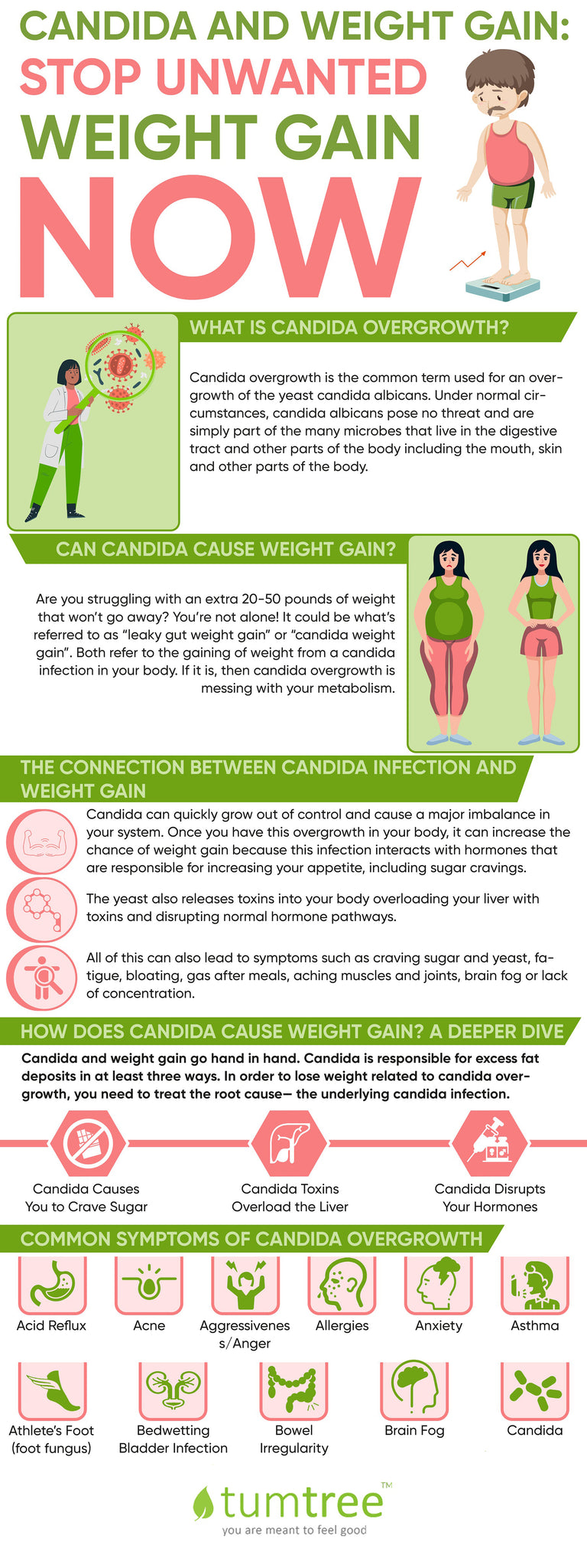 Candida and Weight Gain Connection Infographic