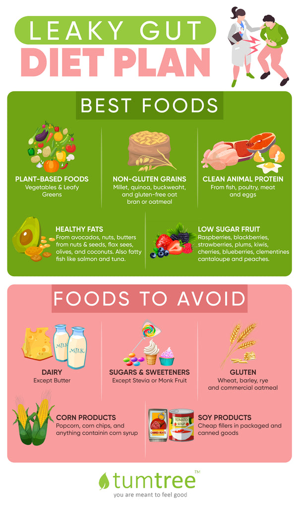 leaky gut diet plan infographic