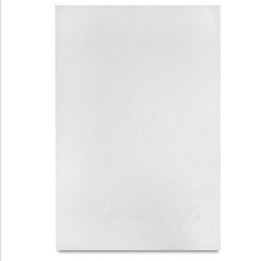 Canson C A Grain 111 lb. Drawing Paper Pad - 18 x 24 inches