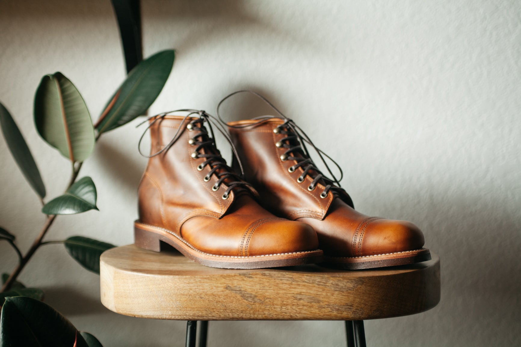 chippewa rugged boot