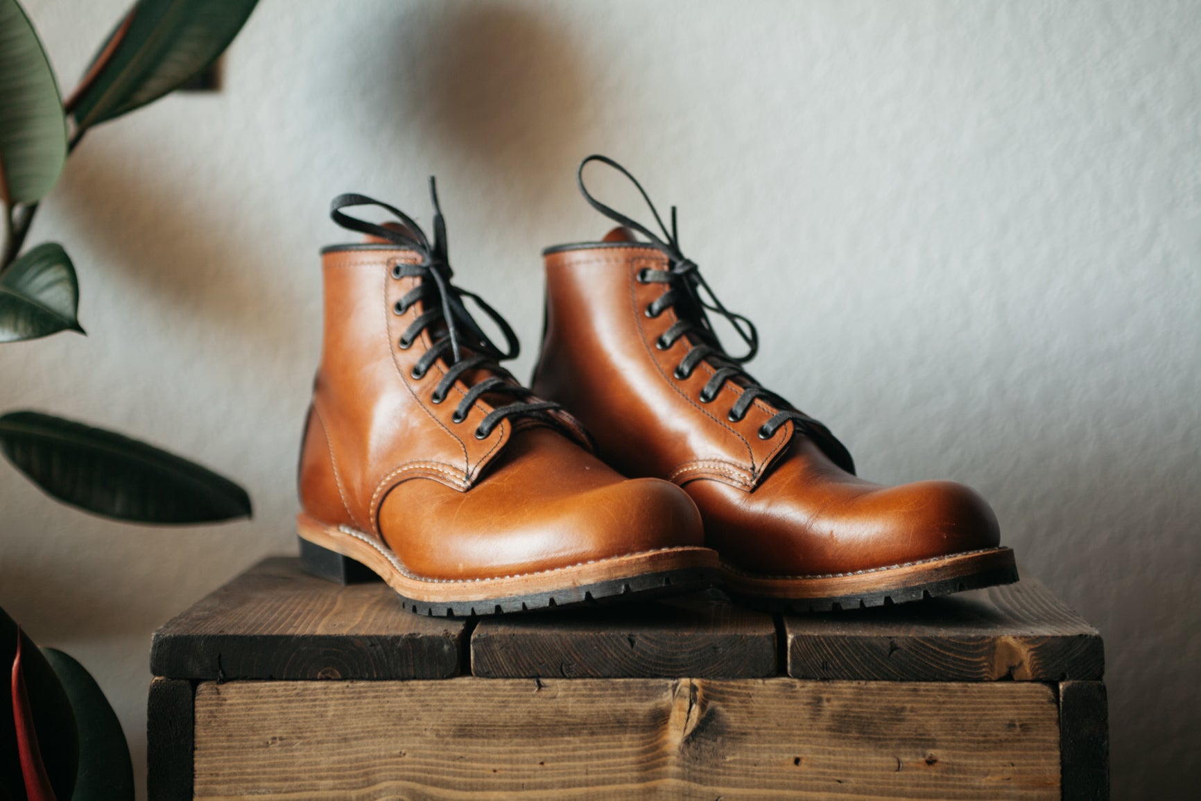 Red Wing Beckman Boot - Cigar Size 7.5 