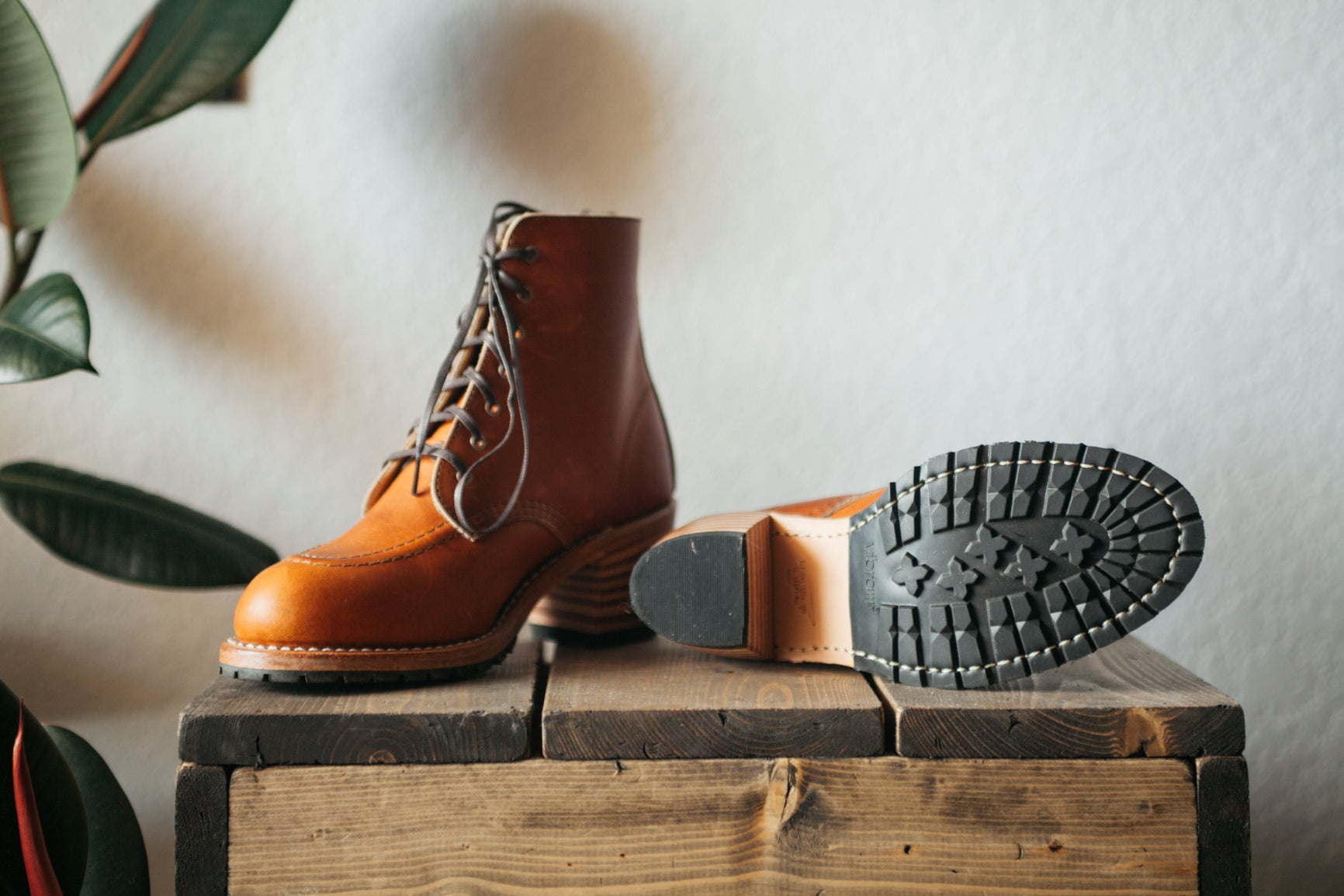 Red Wing Clara - Oro - Arcane Supply Co.