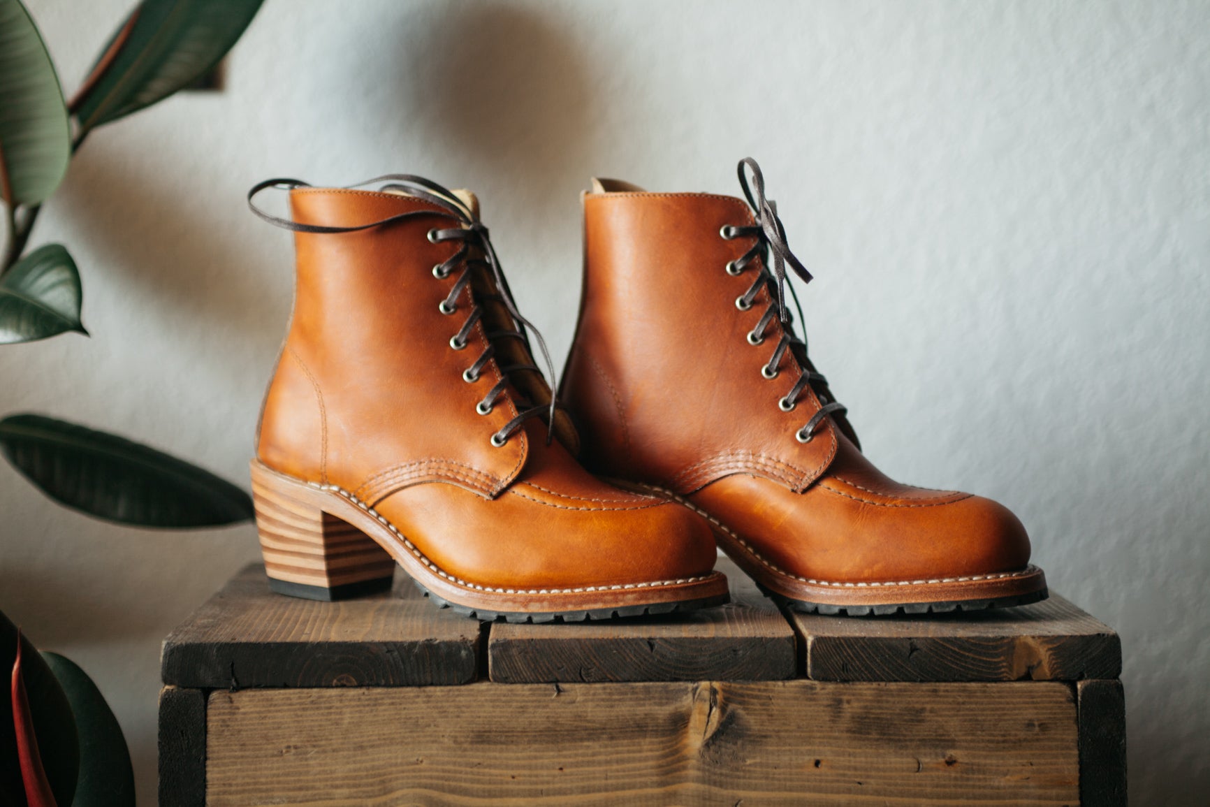 Red Wing Clara - Oro - Arcane Supply Co.