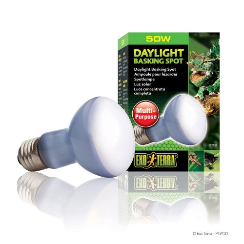 daytime blue heat bulb