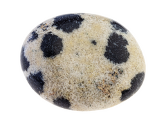 dalmation jasper tumblestone