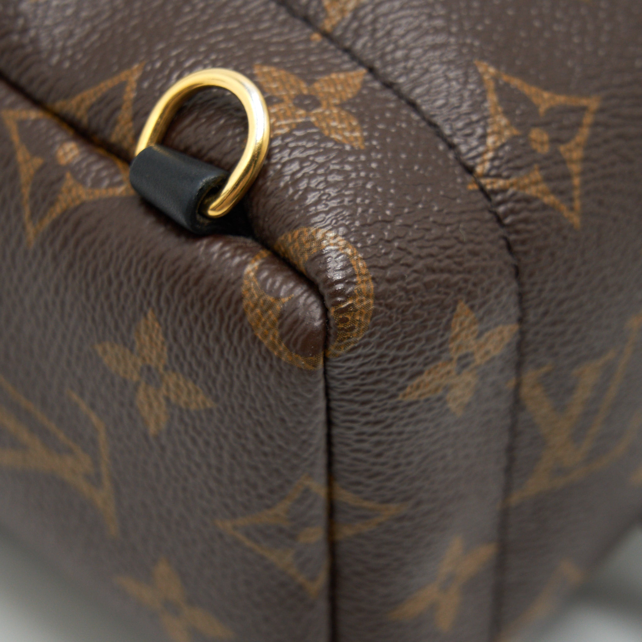 Louis Vuitton Palm Spring Mini Monogram - THE PURSE AFFAIR