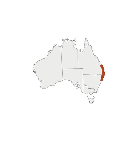 Distribution map for Aniseed Myrtle