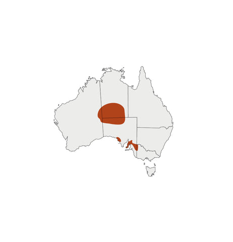 Distribution Map for Bush Tomato
