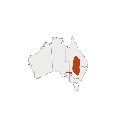 Distribution map for Desert Lime