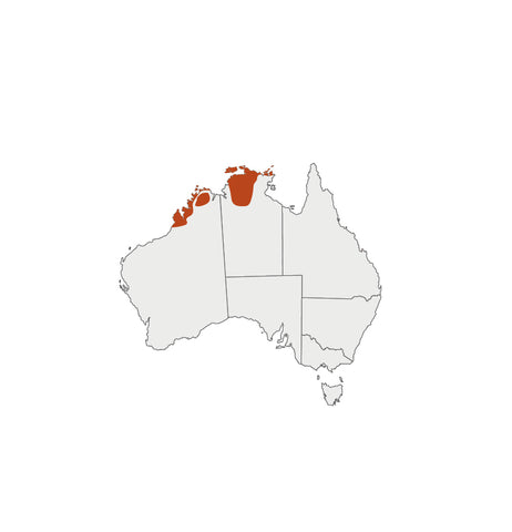 Distribution map for Kakadu Plum