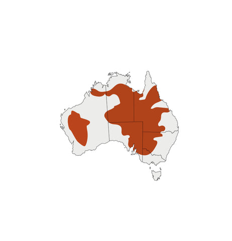 Distribution map for Wattleseed