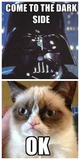 Cat meme with Darth Vader saying, "Come to the dark side". Grumpy cat responds with "Ok"