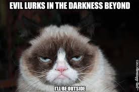 Grumpy cat meme with the text: "Evil lurks in the darkness beyond. I'll be outside"
