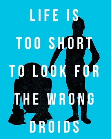 Silhouette of R2-D2 and C-3PO on a light blue background with white text that reads "Life is too short to look for the wrong droids"