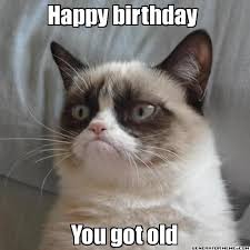 Grumpy cat meme with the text, "Happy birthday. You got old"