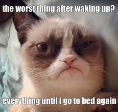 Grumpy cat meme with the text, "The worst thing about waking up? Everything until I go to bed again."