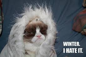 Grumpy cat wrapped in blanket with the text, "Winter. I hate it"
