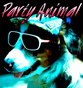 A party-going pup wearing sunglasses and a hat is printed next to "Party Animal" on the front