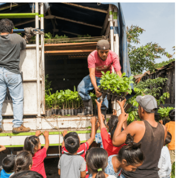 Man handing down saplings from a truck to a group of kids