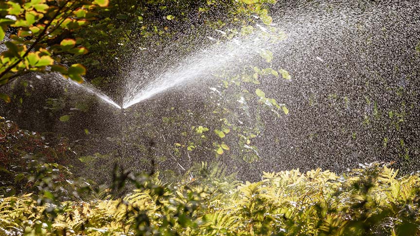 Irrigation as a watering method