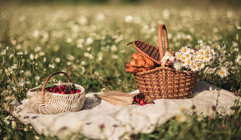 Picnic layout on beautiful grass with flowers around it in Cape Town