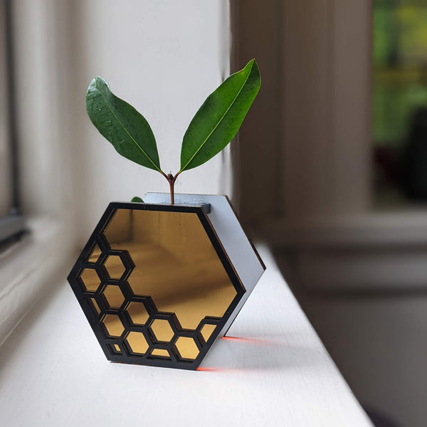 Hexagon Vase | Hydroponic Vase Test Tube Planter