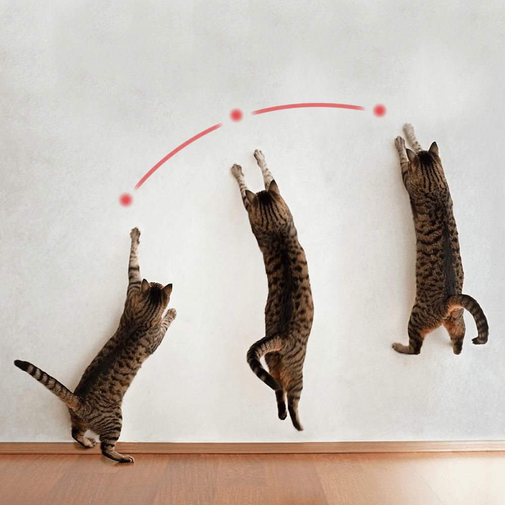 automatic cat laser