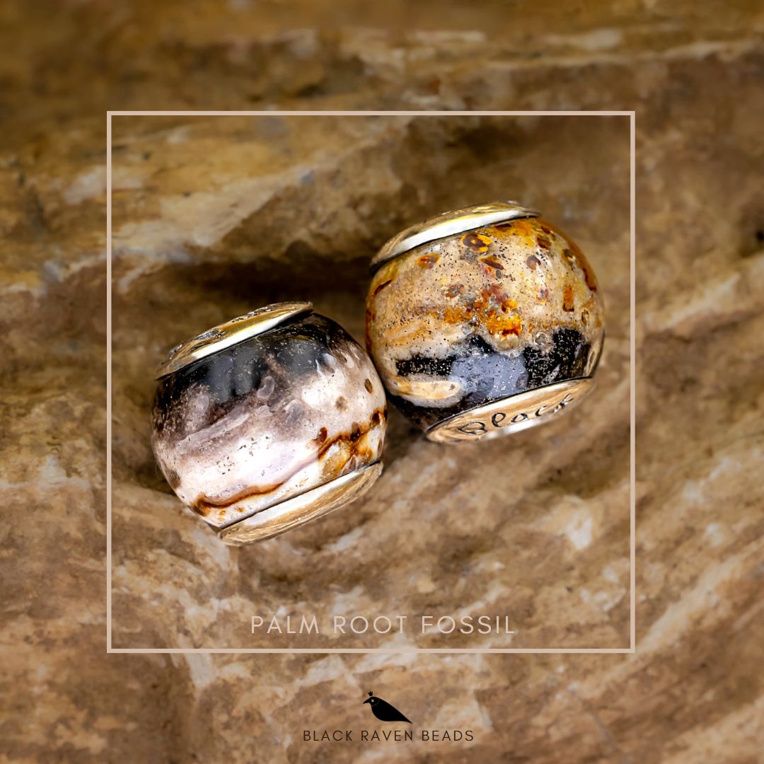 Black Raven Palm Root Fossil - Exclusive Bead Store