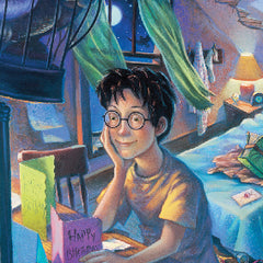 Harry Potter Memory Game – New York Puzzle Company