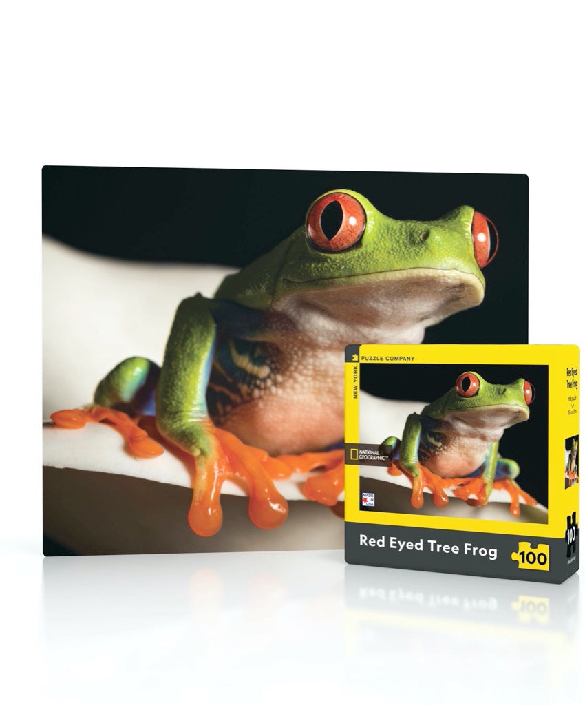 Red Eyed Tree Frog Mini – New York Puzzle Company