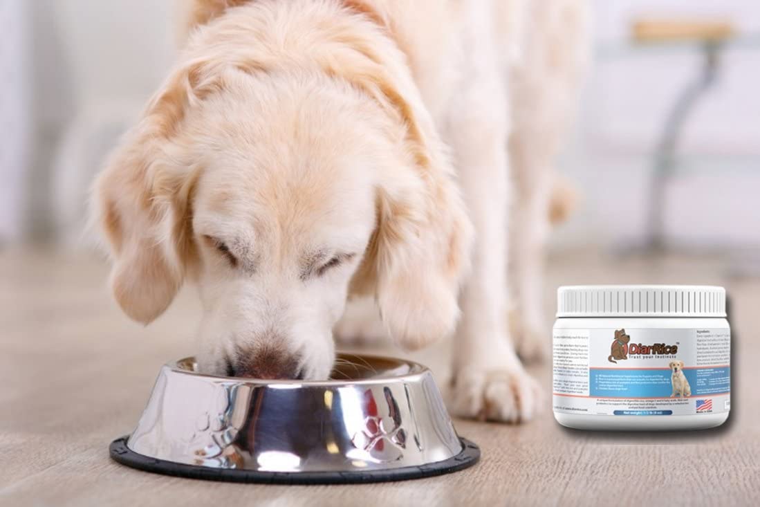DiarRice Probiotic for Dog Diarrhea, Bloating, Gas, and Stomach Discomfort