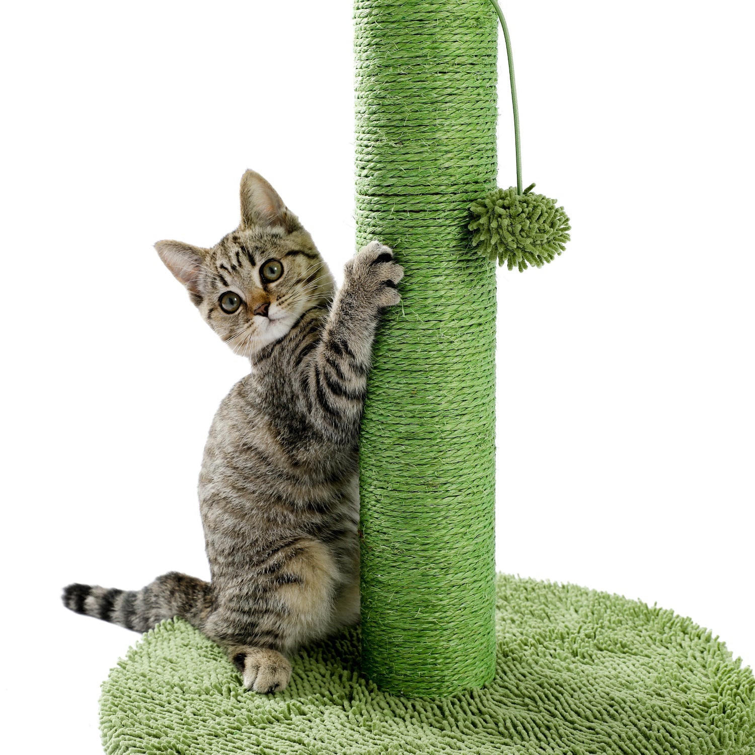 Cactus Cat Tower - Cute Cactus Cat Tree Scratching Post-image-13