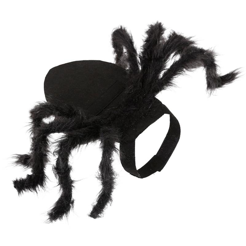 dog costume spider