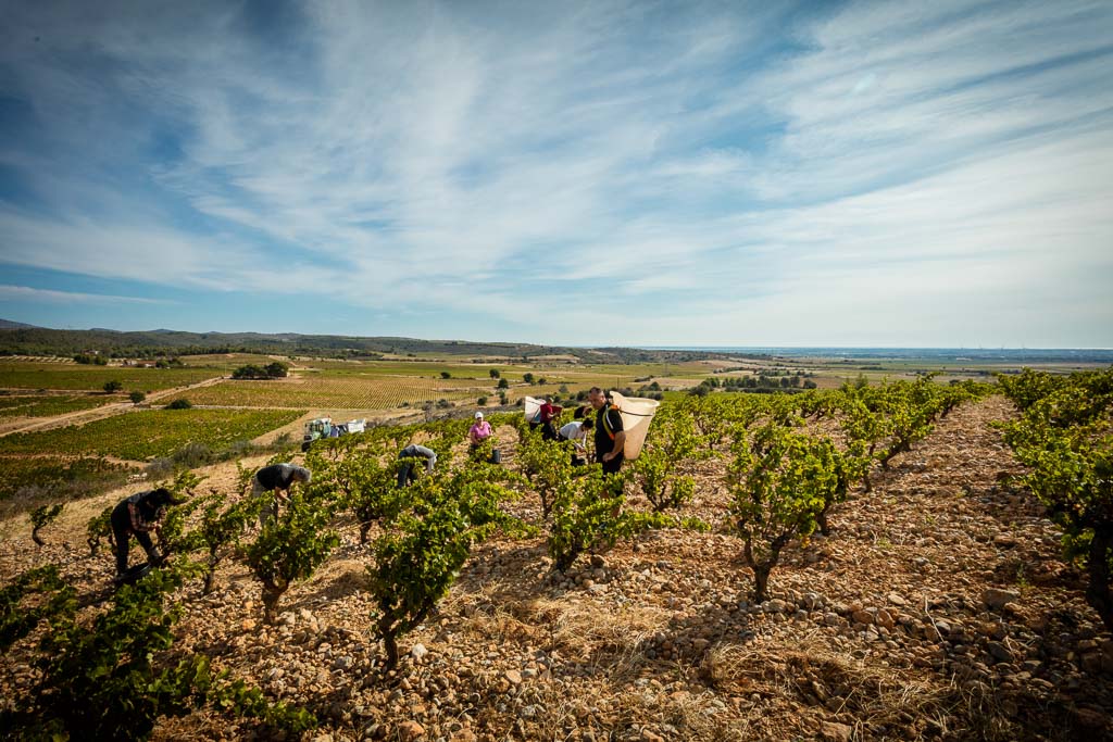 Domaine Boudau Story 