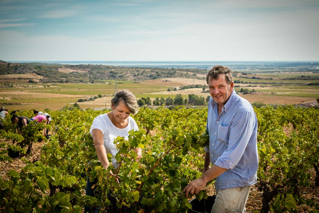 Boudau Vineyard Story