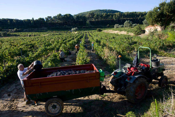 Domaine De La Garenne