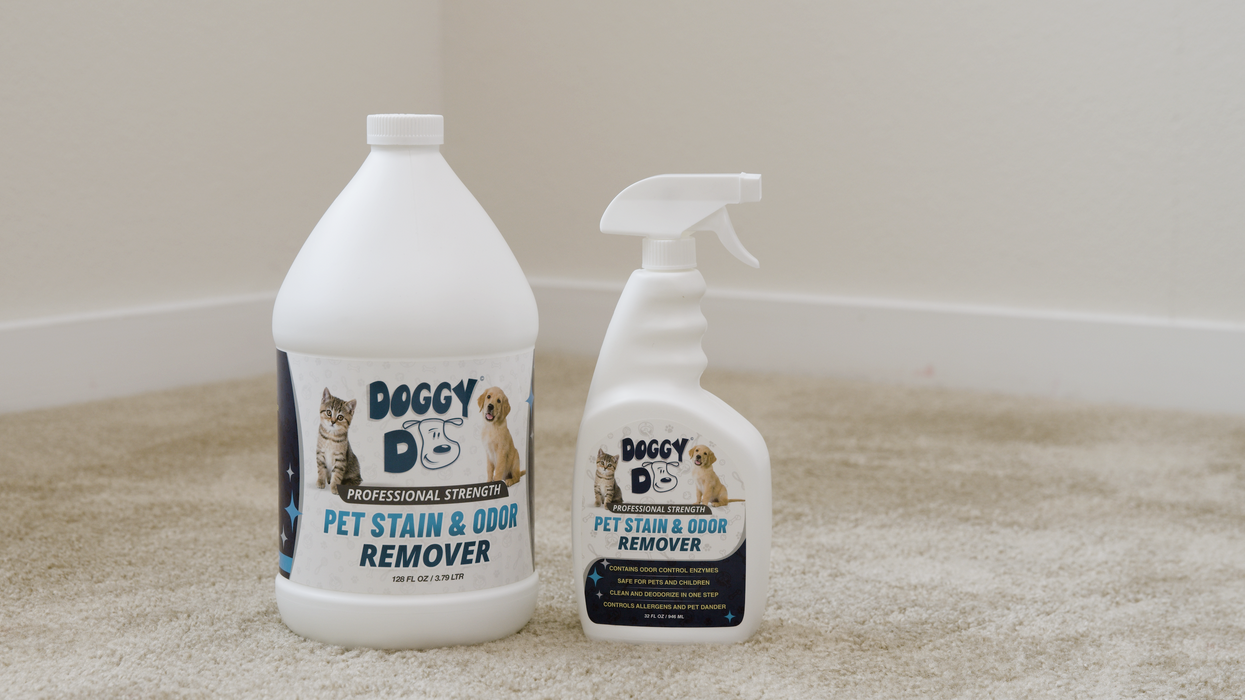 will bleach get rid of dog urine smell on concrete