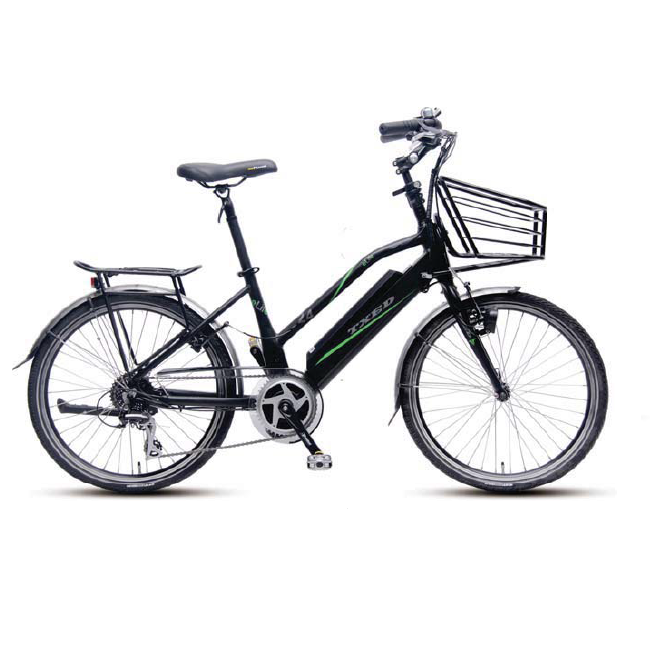 e life electric bike